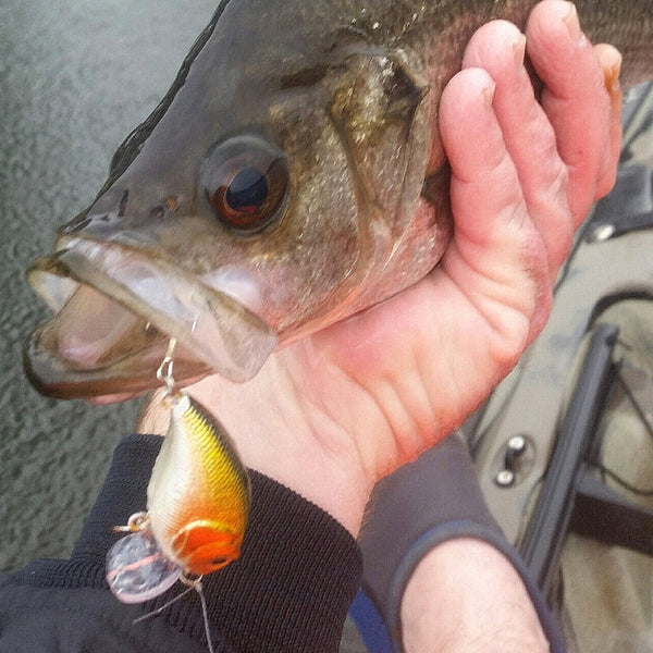 Toppu Mizzu Wakebait 55Mm Purple Flash Baits & Lures