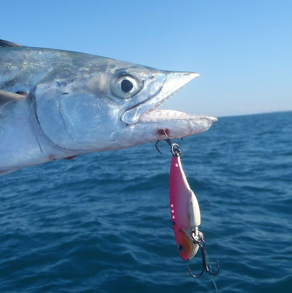 Finesse Feather Blade, Magenta Gold, 55Mm, 2 Pack Baits & Lures