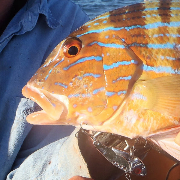 Finesse Feather Blade, Chartreuse, 55Mm,2 Pack Baits & Lures