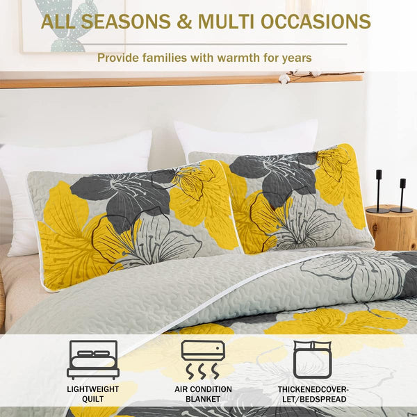 Delicate Quilted Coverlet And Pillowcases Set: Soft Touch For A Restful Night Queen Size Queen Doonas