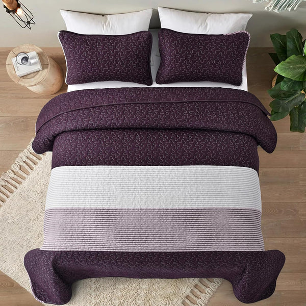 Radiant Quilted Coverlet And Pillow Covers Set Brighten Any Room Queen Size Queen Doonas