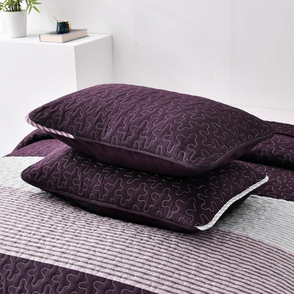 Radiant Quilted Coverlet And Pillow Covers Set Brighten Any Room Queen Size Queen Doonas