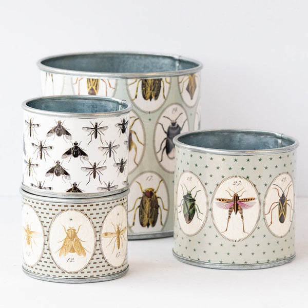 Tin Planter Bugtasia Taupe Set Of 4 Planters & Vases