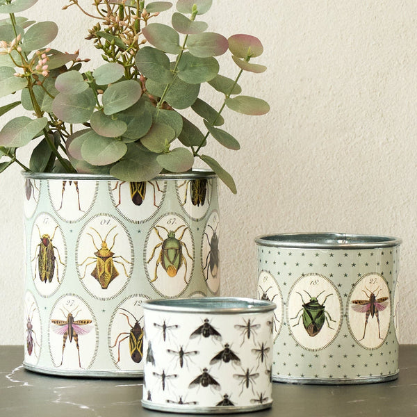 Tin Planter Bugtasia Taupe Set Of 4 Planters & Vases