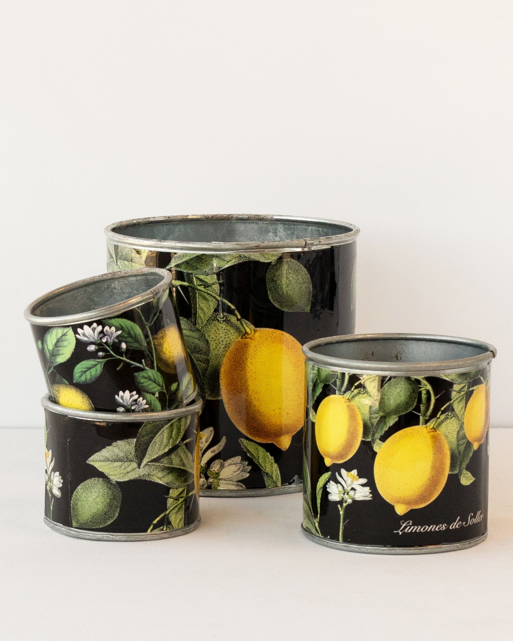 Tin Planter Lemons Set Of 4 Planters & Vases
