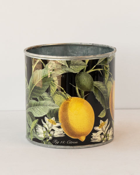 Tin Planter Lemons Set Of 4 Planters & Vases