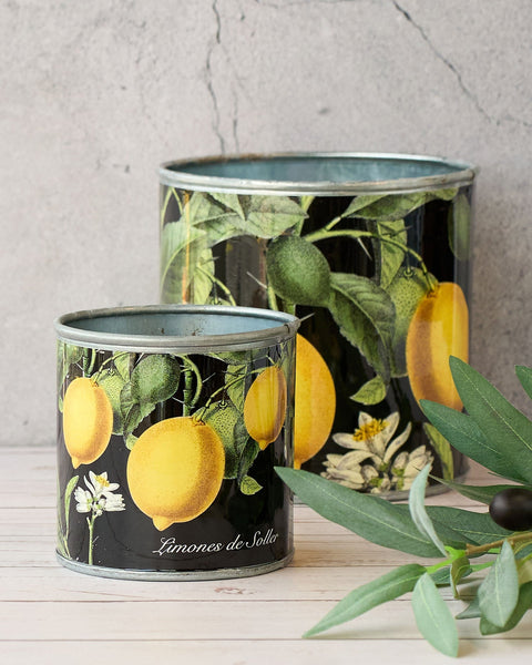 Tin Planter Lemons Set Of 4 Planters & Vases