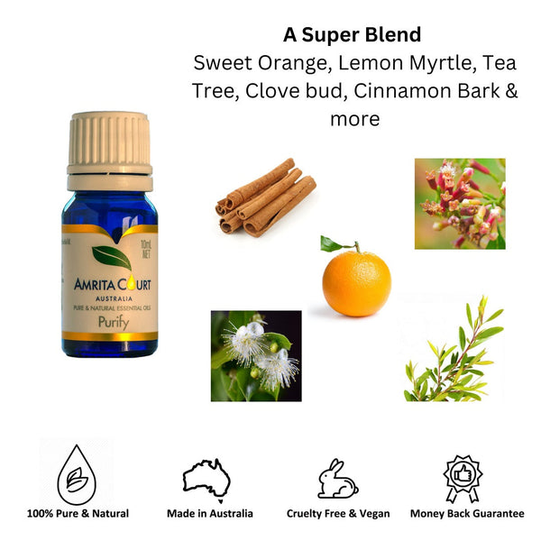 Amrita Court Pure And Essential Oils Purify 10Ml Aromatherapy