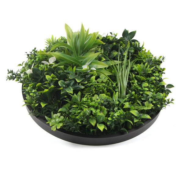 Flowering White Artificial Green Wall Disc Uv Resistant 100Cm (Black Frame) Artificial Plant Panels