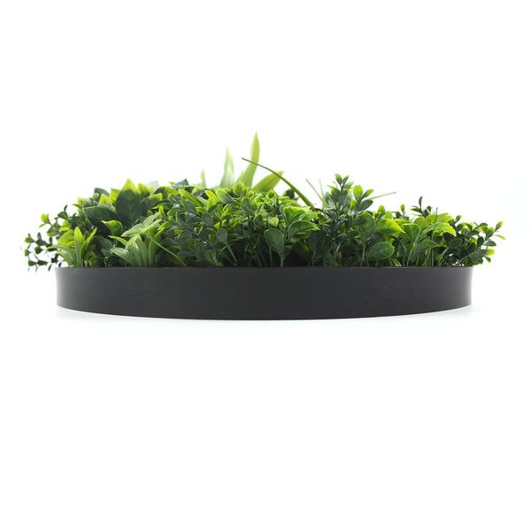 Flowering White Artificial Green Wall Disc Uv Resistant 100Cm (Black Frame) Artificial Plant Panels