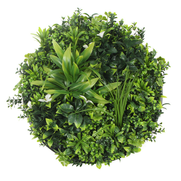 Flowering White Artificial Green Wall Disc Uv Resistant 100Cm (Black Frame) Artificial Plant Panels