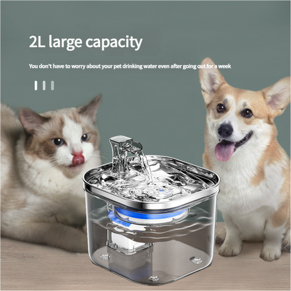 Elosung Usb Powered Pet Water Fountain With Filter Starter Kit 2L Capacity Dog Fountains