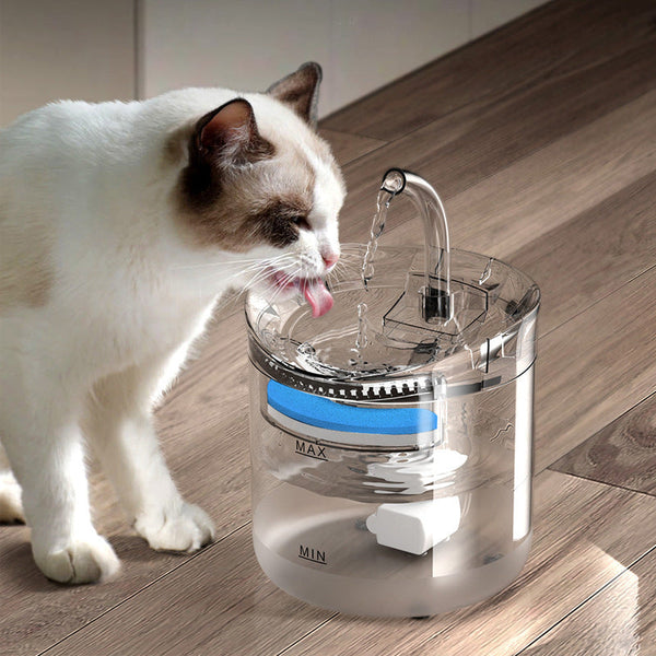 Elosung Beginner Version Pet Water Fountain With Usb Interface (Excluding Plug) Filter Set Transparent Design Dog Fountains
