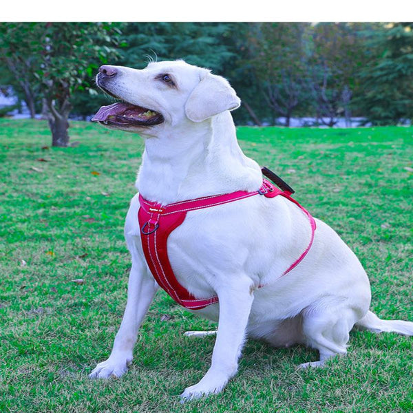 Elosung Reflective No Pull Vest Dog Harness Leash With Handle Walking Training Pet Red Leads & Head Collars