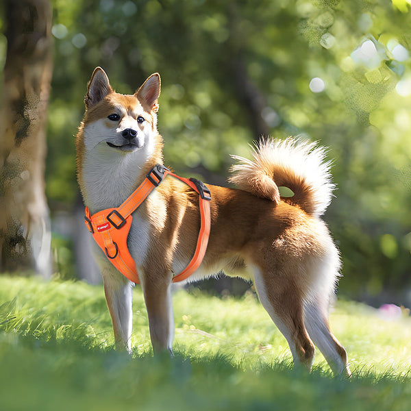 Elosung Reflective No Pull Vest Dog Harness Leash With Handle Walking Training Pet Orange Leads & Head Collars