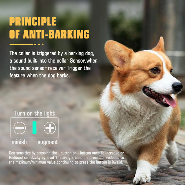 Reflective Dog Collar With Adjustable Strap And Durable Buckle High Visibility For Night Safety Dog Collars