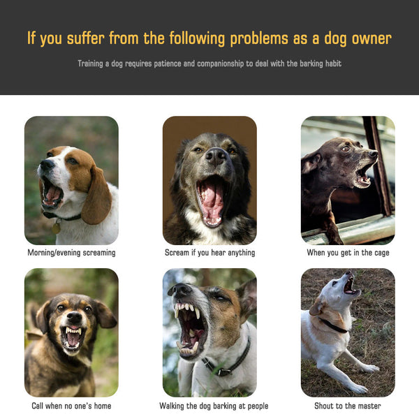 Reflective Dog Collar With Adjustable Strap And Durable Buckle High Visibility For Night Safety Dog Collars