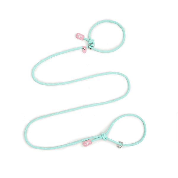 Elosung Slip On Dog Leashes Lightweight And Comfortable Training Leads For Pets 3.35Cm*8Mm (Green 2 Pieces) Leads & Head Collars