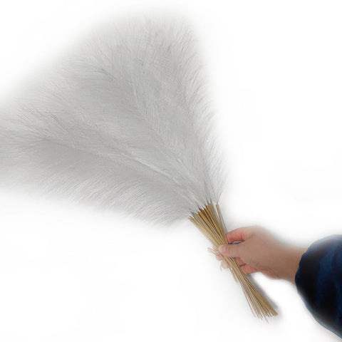 Elosung 20 Sticks Natural White Pampas Grass Bouquet 21.65'' Fluffy Dried For Decor Events Floral Décor