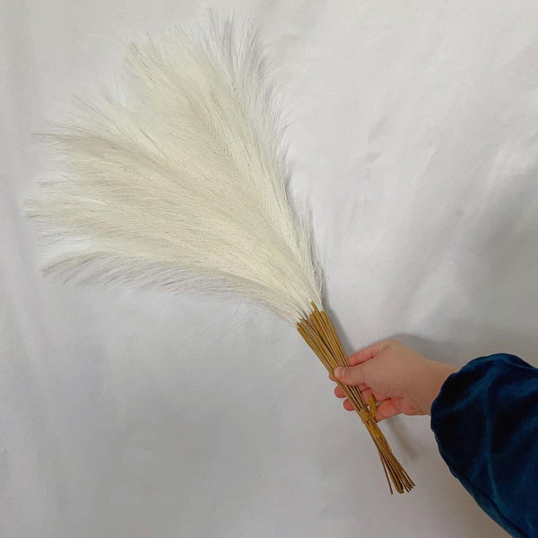 Elosung 20 Sticks Natural Milky White Pampas Grass Bouquet 21.65" Fluffy Dried For Decor Events Floral Décor