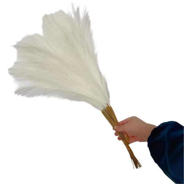 Elosung 20 Sticks Natural Milky White Pampas Grass Bouquet 21.65" Fluffy Dried For Decor Events Floral Décor