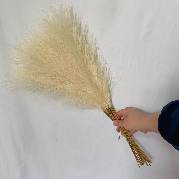 Elosung 20 Sticks Natural Beige Pampas Grass Bouquet 21.65" Fluffy Dried For Decor Events Floral Décor