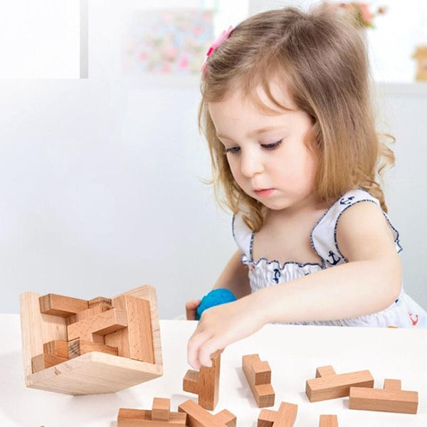 Elosung Brain Teaser Puzzle 3D Cube Game For Adults Kids Natural Block (2.75 Inches) Puzzles