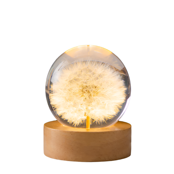 Elsoung Luminous 3D Dandelion Crystal Ball Beech Wood Stand Base Preserved Flower Sphere Desktop Ornaments Birthday Christmas Gifts Night Lights