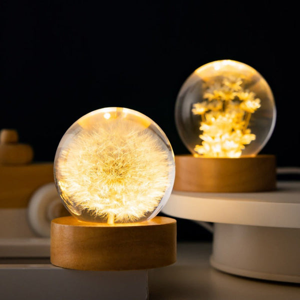 Elsoung Luminous 3D Dandelion Crystal Ball Beech Wood Stand Base Preserved Flower Sphere Desktop Ornaments Birthday Christmas Gifts Night Lights