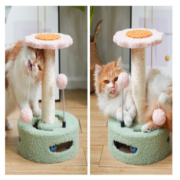 Blue Grey Interactive Cat Scratching Post With Playful Ball Toys Flower Design 35Cm Height 26Cm Base Furniture & Scratchers