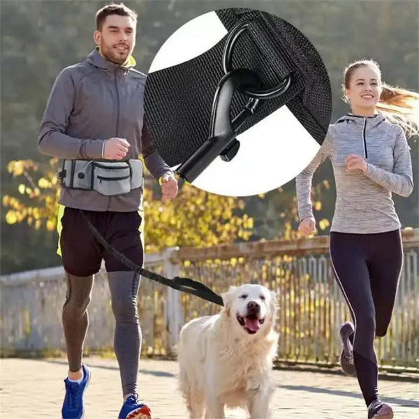 Elosung Grey Dog Training Bag Multi Function Pet Snack Pouch Waste Holder And Waist For Walking Outdoor Adventures Treat Bags