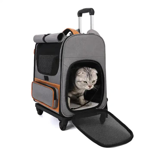 Elosung Off White Large Capacity Breathable Foldable Pet Trolley Travel Cat Carrier With Wheels Portable Spacious And Convenient For Two Cats Pet Tran