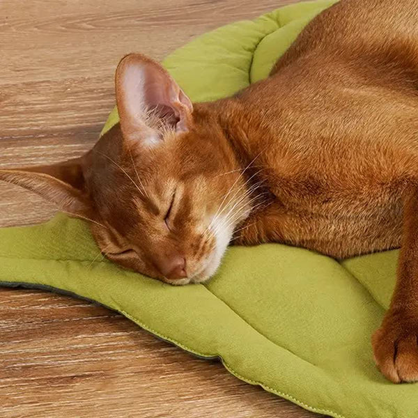 1 Pcs Yellow Leaf Shaped Pet Sleeping Mat Durable Dog Floor Pad & Cat Bed For And Playtime Pet Beds