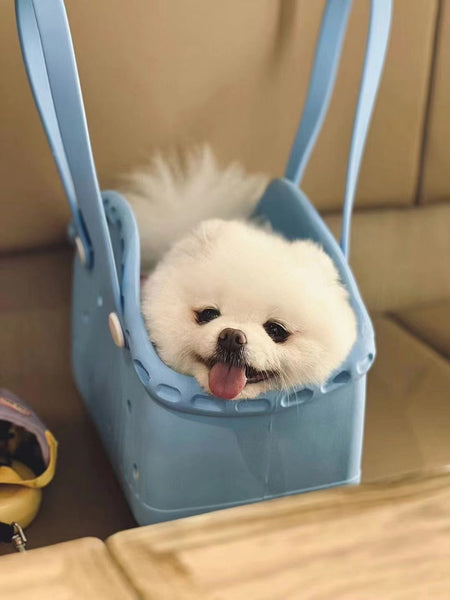 Elosung Rose Red Portable Eva Pet Handbag Diy Custom Decoration Carrier For Small Pets Beach And Outdoor Use (Large Capacity) Pet Transport