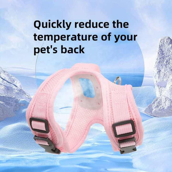 Elosung Size Pink Pet Cooling Harness Led Lights & Leash Summer Relief For Small Dogs And Cats Harnesses