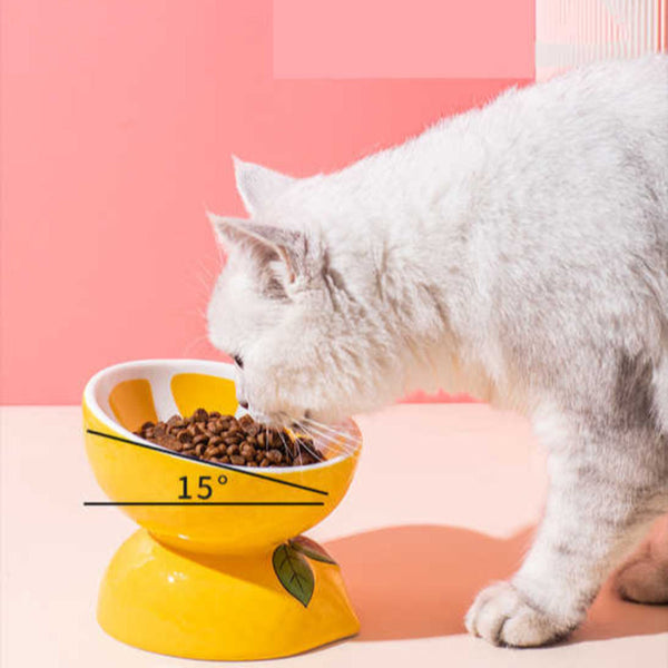 Elosung Ceramic Elevated Pet Food Bowl Cute Watermelon Pattern Design For Cats And Small Dogs Dog Bowls