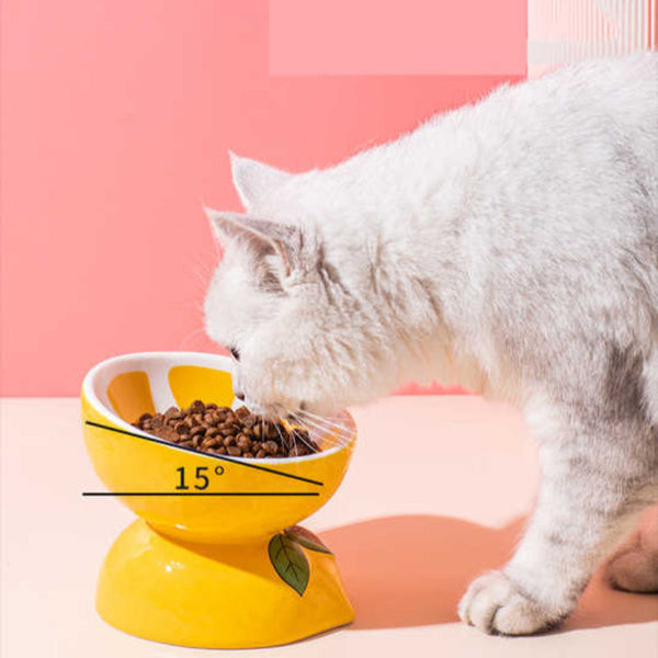Elosung Ceramic Elevated Pet Food Bowl Cute Pitaya Pattern Design For Cats And Small Dogs Dog Bowls