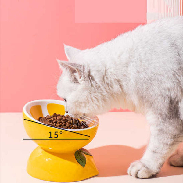 Elosung Ceramic Elevated Pet Food Bowl Cute Banana Pattern Design For Cats And Small Dogs Dog Bowls