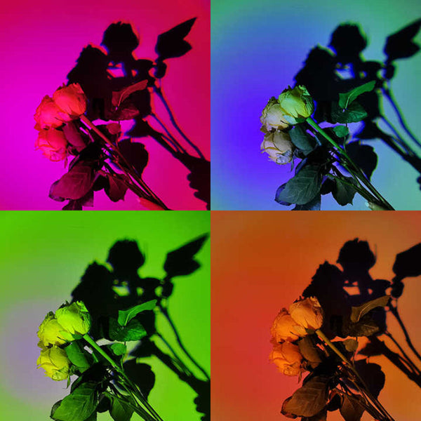 Elosung Ufo Rgb Sunset Projection Lamp With 16 Colors Remote Control Black Lamps