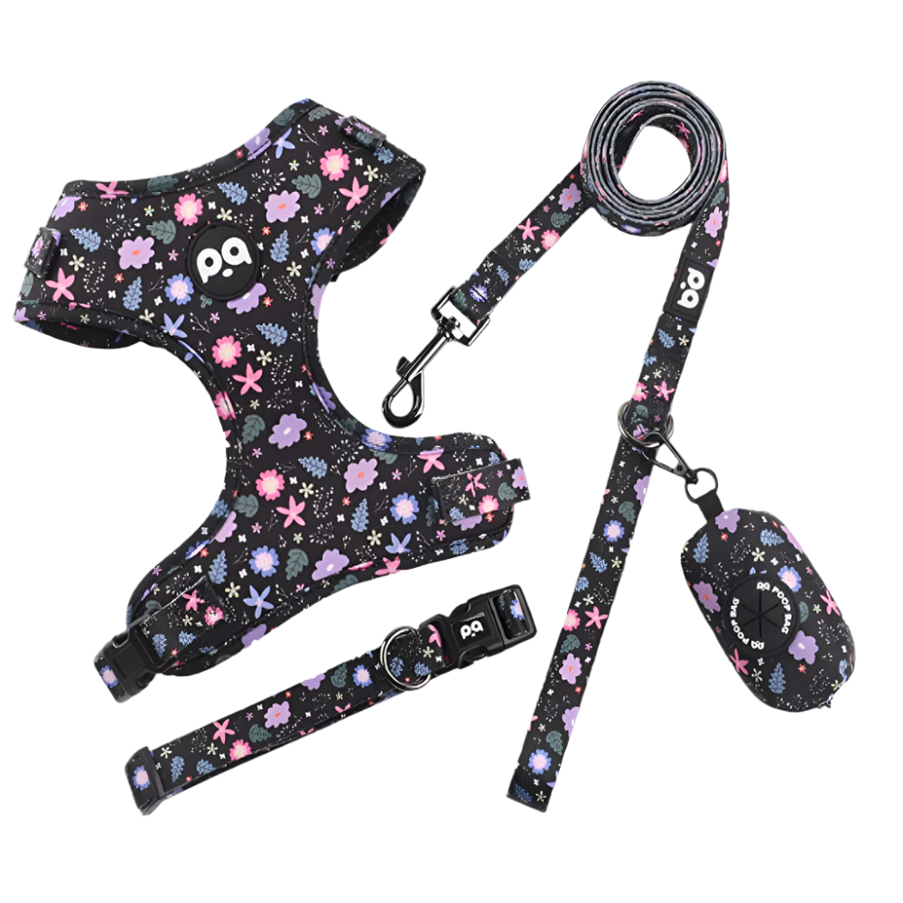M Crushed Black Pet Harness With Leash And Poop Bag Dispenser Harnesses