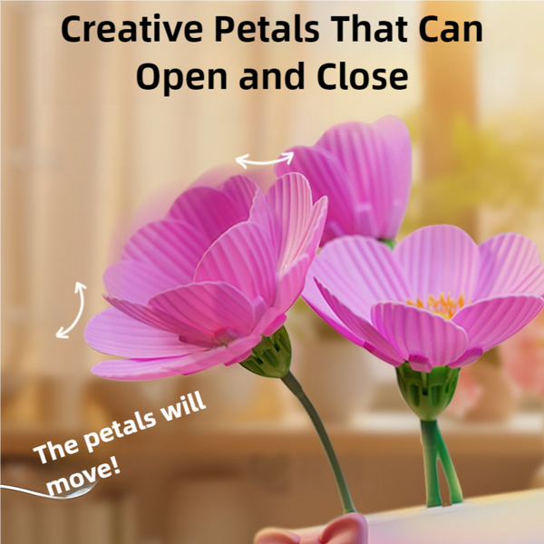 Pink Gradient Lens Lightweight Uv400 Photochromic Cycling Glasses Anti Wind Protective Sunglasses For Outdoor Sports Aromatherapy