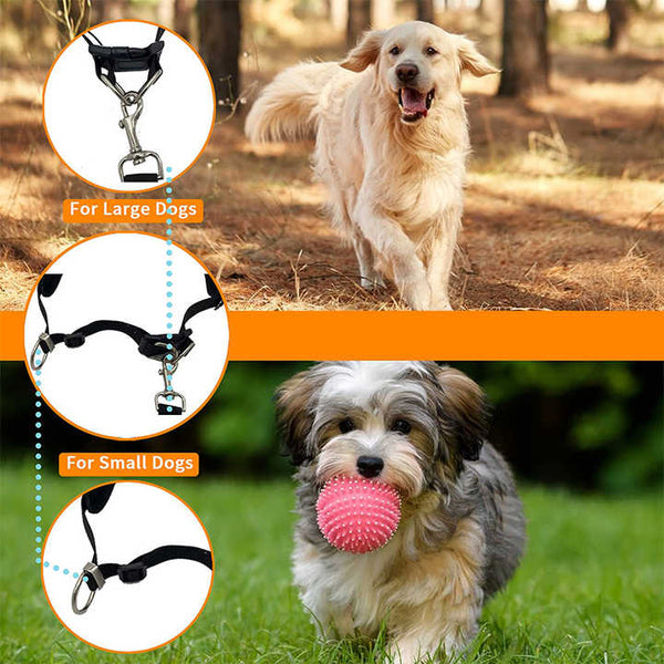 Elosung Black Reflective Pet Waist Bag With Hands Free Leash For Night Safety Adjustable Pack Detachable Pouches Leads & Head Collars