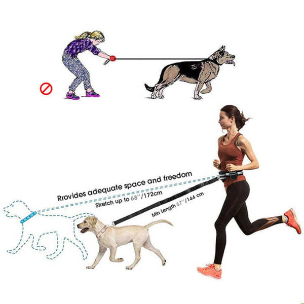 Grey Reflective Pet Waist Bag With Hands Free Leash For Night Safety Pack Detachable Pouches Pooper Scooper & Bags