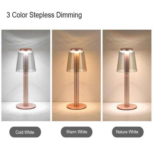 Elosung Gold Stylish Transparent Desk Lamp With Touch Control Led Type Charging Simple And Modern Design Placeholder