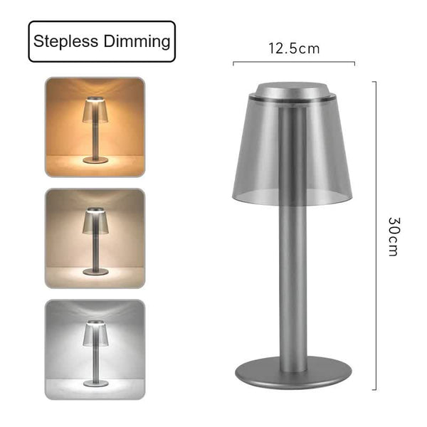 Silver Stylish Transparent Desk Lamp With Touch Control Led Type Charging Simple Modern Design Lamps