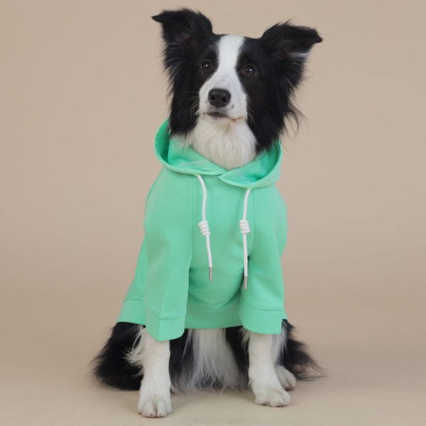 2Xl Green Cute Dog Hoodie With Adjustable Drawstring Available In Various Sizes Dog Clothing & Shoes