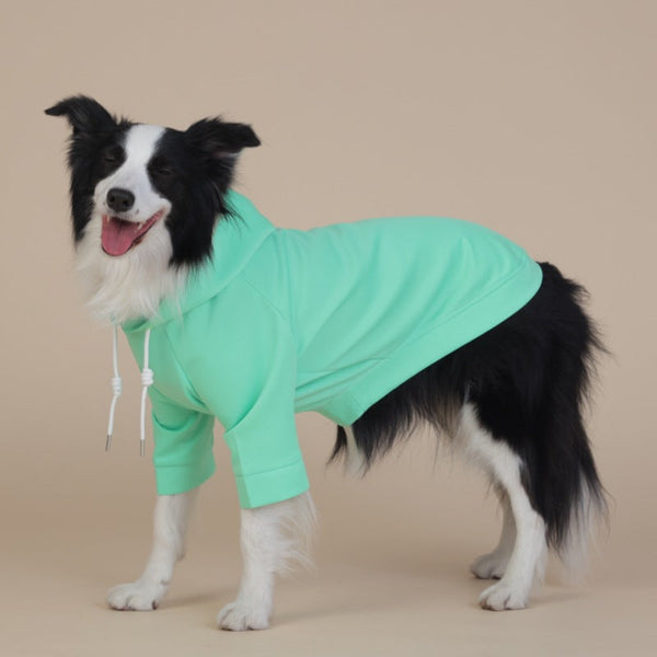 2Xl Green Cute Dog Hoodie With Adjustable Drawstring Available In Various Sizes Dog Clothing & Shoes