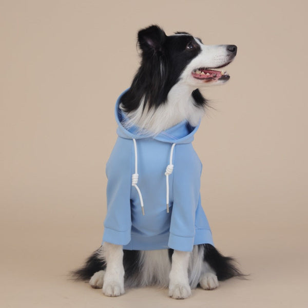 Xl Blue Cute Dog Hoodie With Adjustable Drawstring Comfortable Stylish Pet Apparel Dog Clothing & Shoes