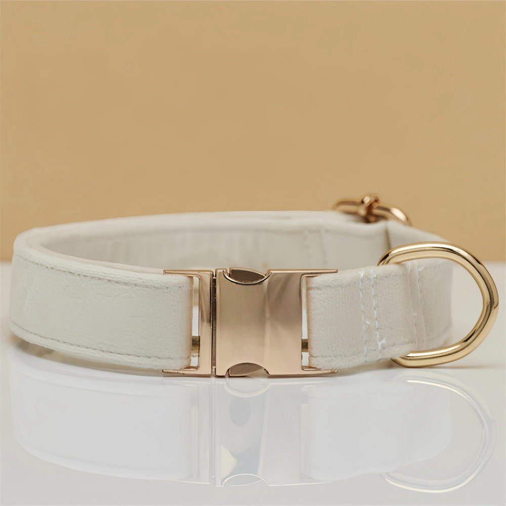 Beige Durable Dog Collar With Metal Buckle Adjustable Nylon Pet For Dogs Xs Dog Collars