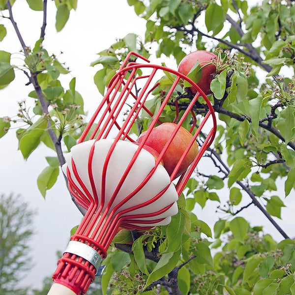 Fruit Picking Tool With Telescopic Pole Stainless Steel 1.6M Other Garden Hand Tools & Equipment